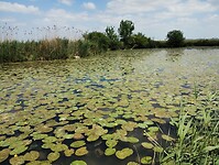 IMG_20250522_142026216