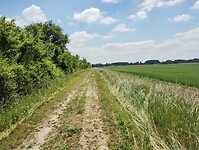 IMG_20250522_131043026