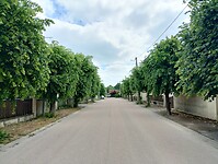 IMG_20250522_121151912_HDR