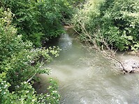 IMG_20250522_120241876