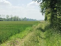 IMG_20250522_112402190