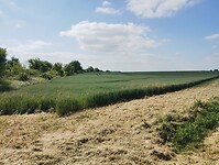 IMG_20250522_102942234