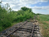IMG_20250522_094919923_HDR