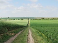 IMG_20250522_091733986