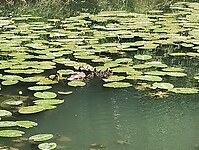 IMG_20250523_125825779