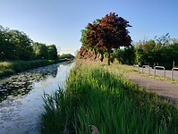 IMG_20250523_075354395_HDR