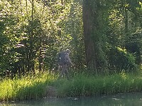 IMG-20250523-WA0012