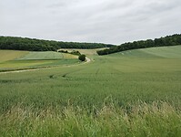 IMG_20250524_160424333