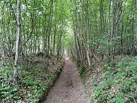 IMG_20250524_140504574