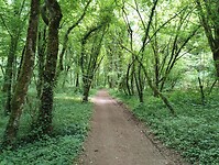 IMG_20250524_134558073