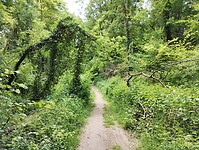 IMG_20250524_132359292