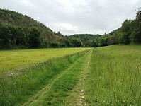 IMG_20250524_131239892