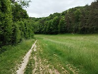IMG_20250524_130615132