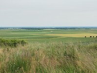 IMG_20250524_122029217