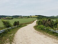 IMG_20250524_113719747