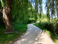 IMG_20250524_091554936_HDR