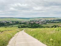 IMG_20250527_135739873