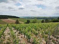 IMG_20250527_134838647