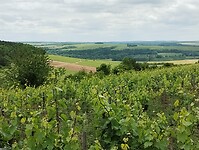 IMG_20250527_134313699