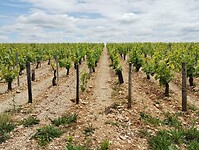 IMG_20250527_133238516