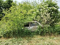 IMG_20250527_115854586