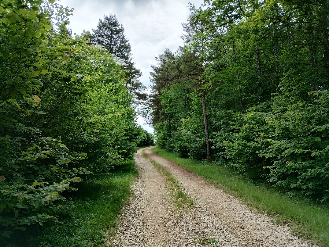 IMG_20250527_113310128_HDR