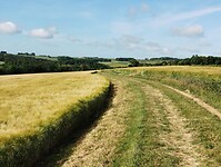 IMG_20250527_091204749