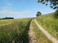 IMG_20250527_085722841