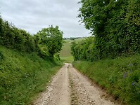 IMG_20250528_104233383_HDR