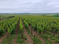 IMG_20250528_103721567