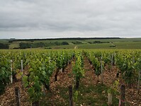 IMG_20250528_092559380
