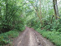 IMG_20250528_131147101