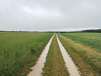 IMG_20250528_125738613
