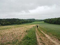 IMG_20250528_113851374