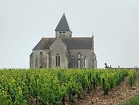 IMG_20250528_105532345