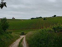 IMG_20250528_104407797_HDR