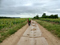 IMG_20250528_093518318_HDR