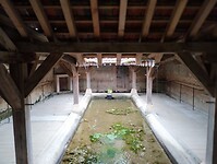 IMG_20250528_102658523_PORTRAIT
