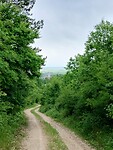 IMG_20250528_143345349_HDR