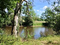 IMG_20250529_150201852_HDR
