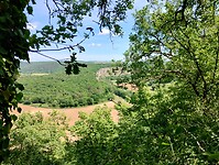 IMG_20250529_135606834_HDR
