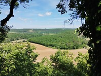 IMG_20250529_135555671