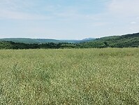 IMG_20250529_133005619