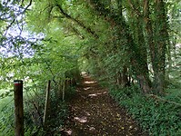 IMG_20250529_110837577_HDR