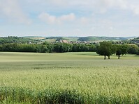 IMG_20250529_103427957
