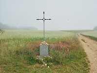 IMG_20250529_093217865