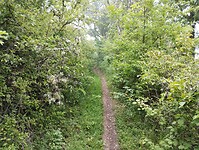 IMG_20250529_090820296