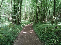 IMG_20250529_155931598