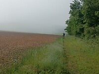 IMG-20250529-WA0007