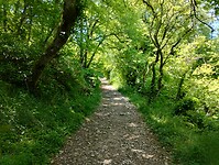IMG_20250530_122316690_HDR